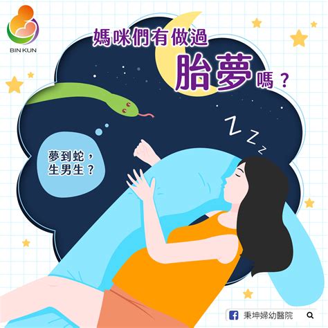 孕婦夢到老鼠|有趣的胎夢